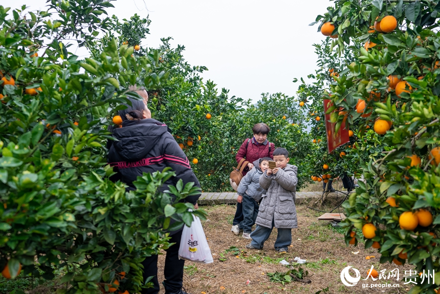 小朋友和家人在基地内游览拍照。人民网记者 涂敏摄