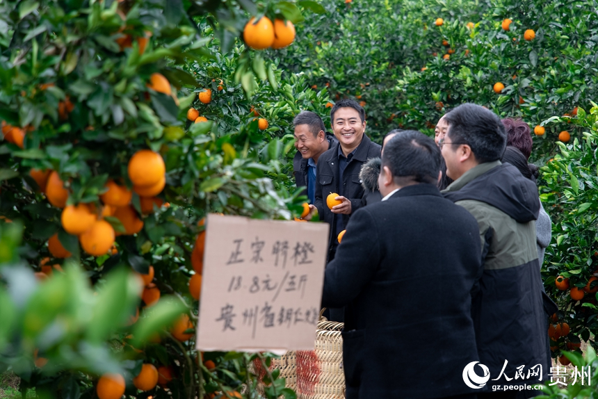 游客在基地内游览拍照。人民网记者 涂敏摄