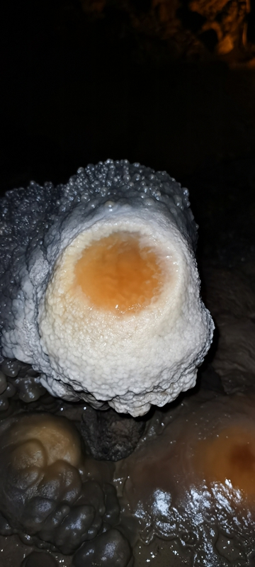 2、荷包蛋。.jpg