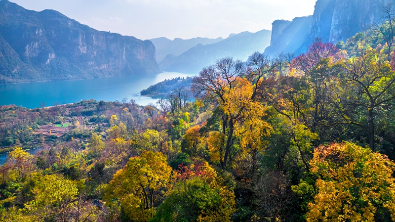 2025年12月12日，乌江上游贵州省毕节市黔西市境内的六冲河段冬景如画（无人机照片）。
