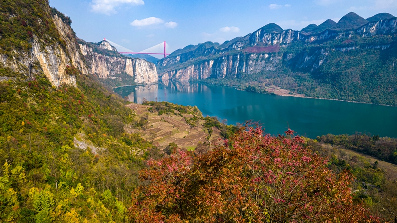 2025年12月12日，乌江上游贵州省毕节市黔西市境内的六冲河段冬景如画（无人机照片）。