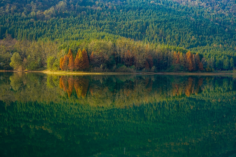 六盘水明湖国家湿地公园湖水湛蓝如碧，湖岸层林尽染。赵桦摄