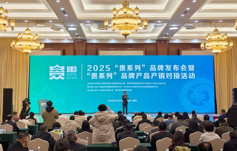 发布会现场。人民网记者 高华摄