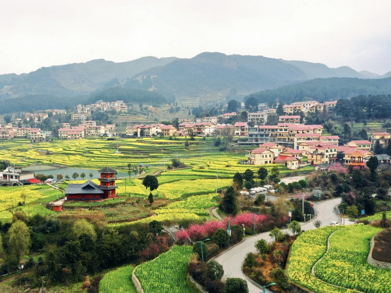 仁怀市高大坪镇银水村村貌。