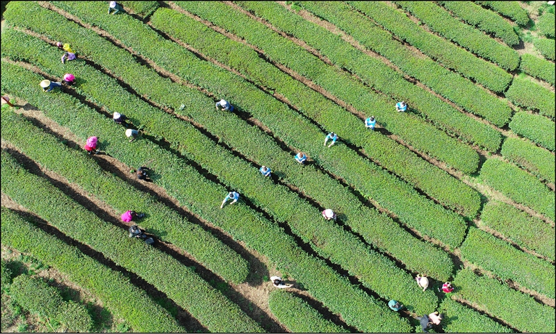 独山县构建现代化产业体系。