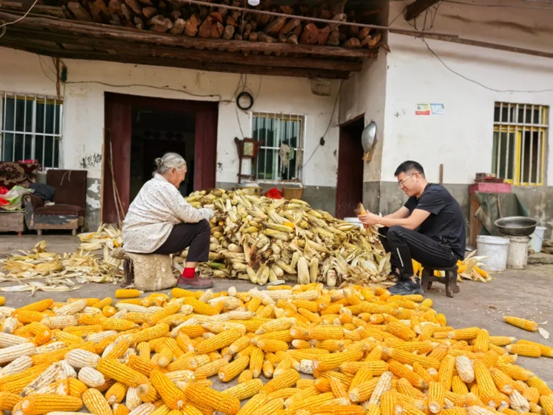 翟康同当地农户一起干农活。