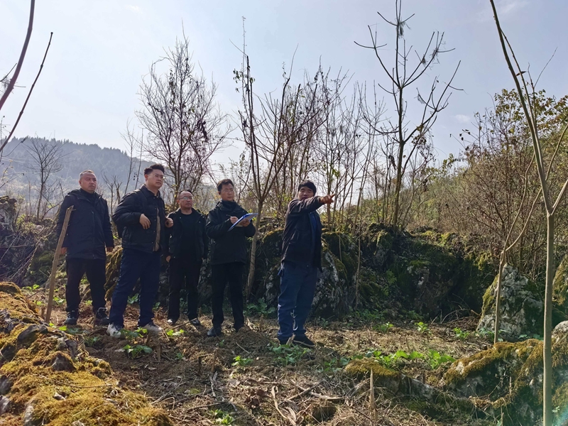 调查组实地调研 (2)