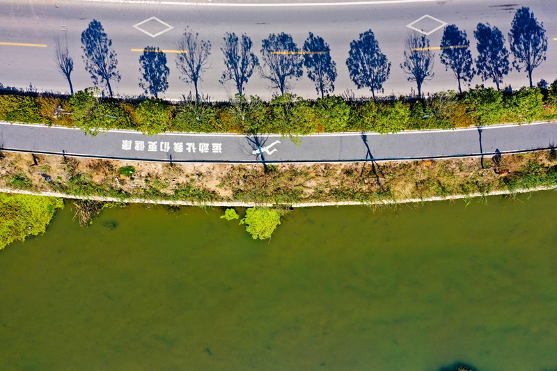 七星关区碧水小流域治理成效 。