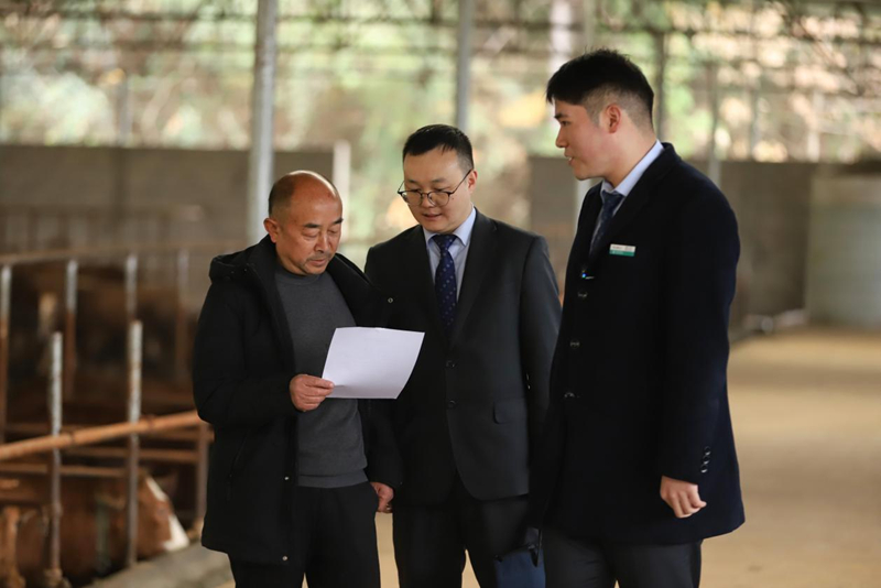 金融活水精准賦能 種養殖產業煥發新生機。