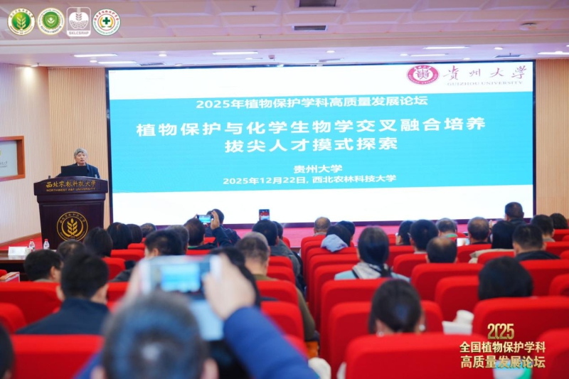 论坛现场。活动方供图.jpg
