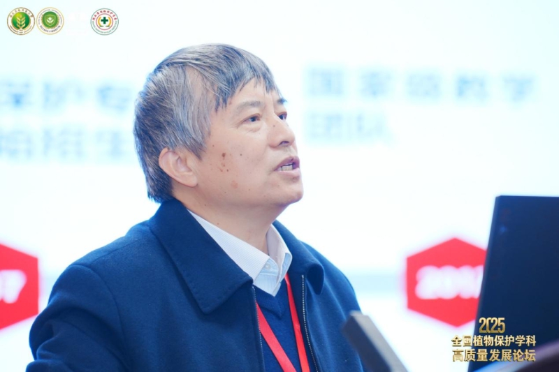 论坛现场。活动方供图.jpg