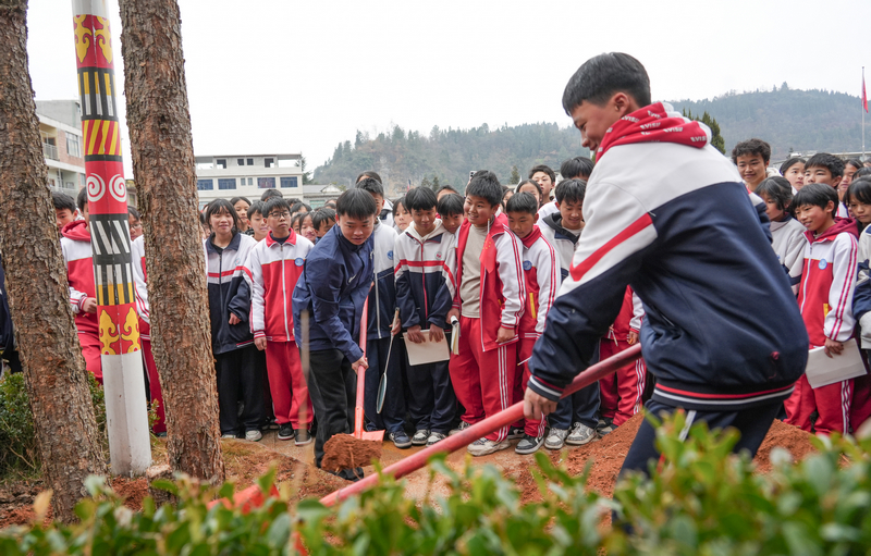 2025年12月24日，贵州省毕节市纳雍县化作中学，纳雍籍奥运冠军谢瑜在和学生一起种树。 