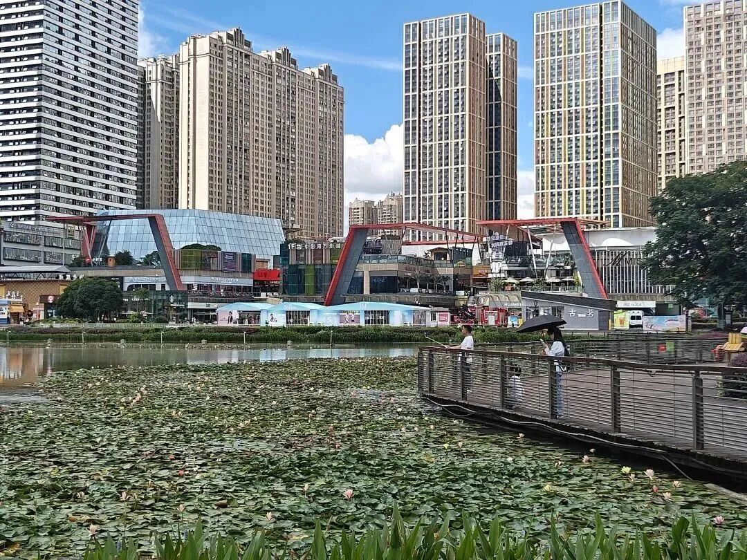 图2以绿为墨 润染南明 绘就山水人城共生的诗意长卷