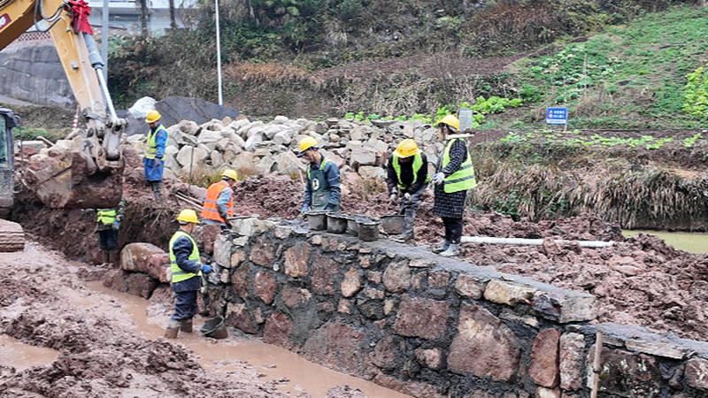 现场一片忙绿景象。税会静摄