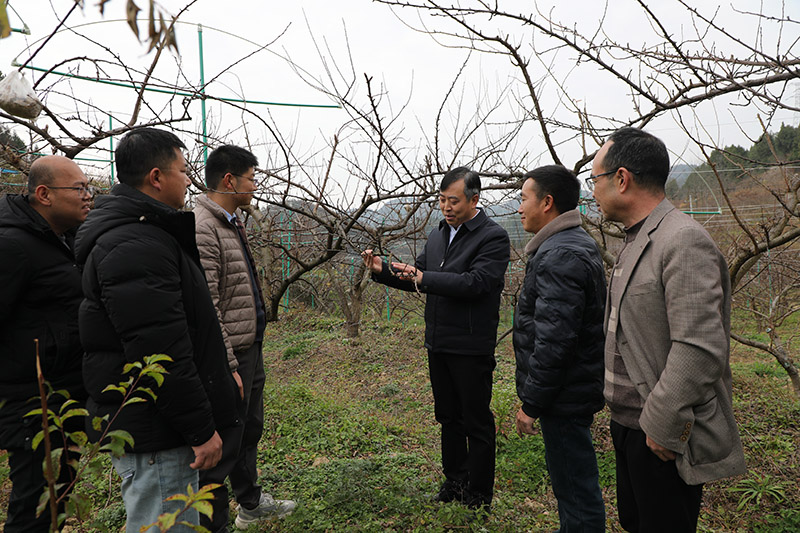 图为贵州省农业科学院派驻石阡驻村工作队在果园交流驻村工作、产业发展。杨文美摄 (1)