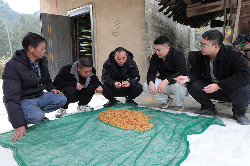 在石阡县河坝镇王坪村，贵州省农业科学院派驻石阡驻村工作队员正在指导中药材种植户注意事项。杨文美摄