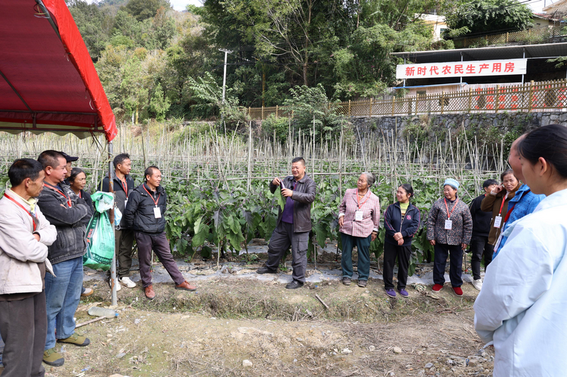 省农科院专家开展技术指导。