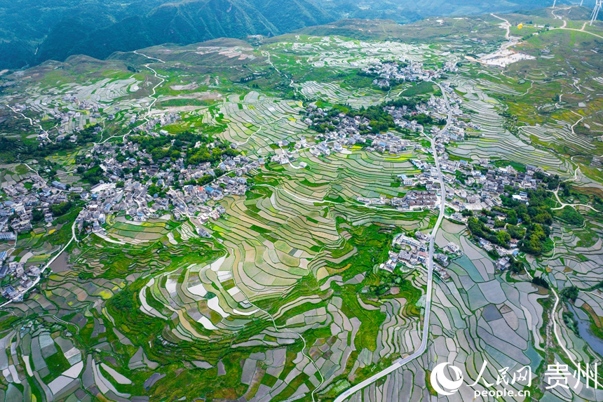 6 2025年6月4日，貴州省貴陽市花溪區高坡苗族鄉的梯田隨山勢鋪展，與周圍的民居相互映襯，構成一幅和諧自然的田園畫卷。人民網記者 涂敏 攝