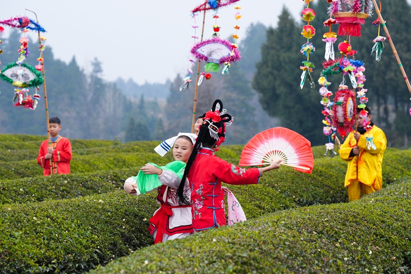 茶灯戏现场。贺卫民摄