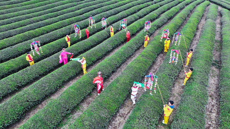 茶灯戏现场。贺卫民摄