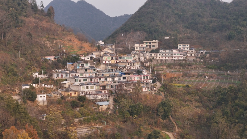 江龍鎮簸箕村。