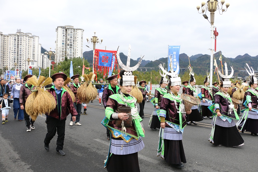 3 图为各具特色的巡游方阵