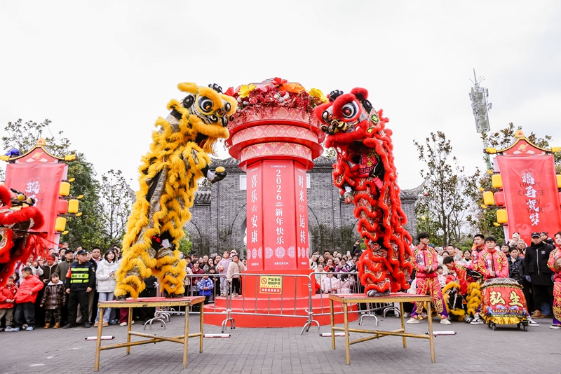 花溪公园迎新游园会.