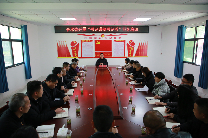 印江自治縣合水鎮開展“書記講給書記聽”業務培訓。梅亞軍攝