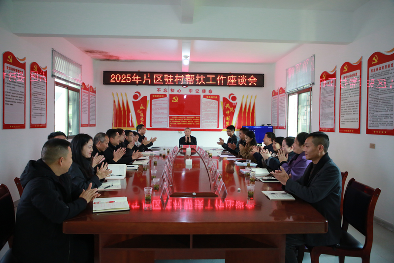 印江自治縣片區駐村幫扶工作座談會現場。梅亞軍攝