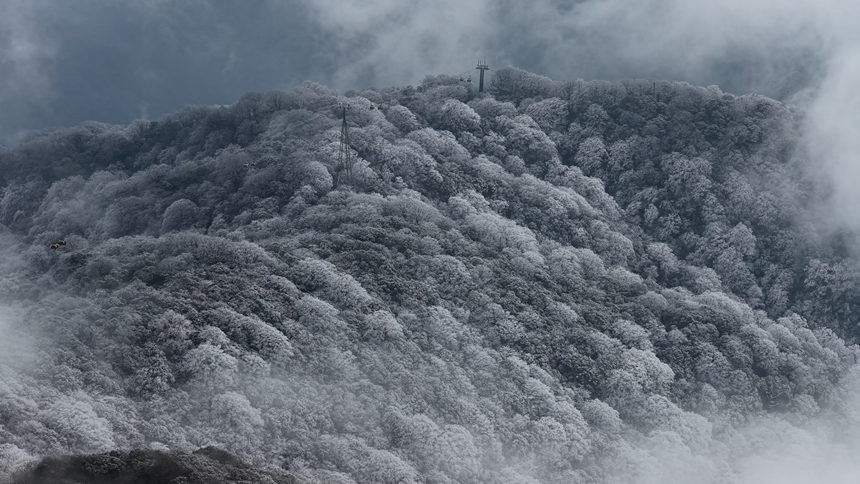 貴州梵淨山迎2026年首場降雪，半山銀白奇景驚艷亮相。