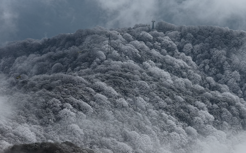 贵州梵净山迎2026年首场降雪 半山银白奇景惊艳亮相