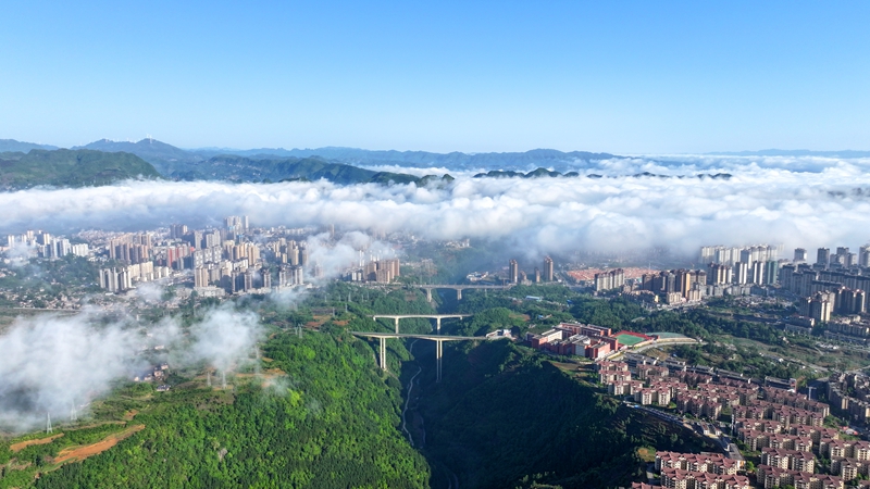 2025年5月11日，贵州省纳雍县县城云海航拍。