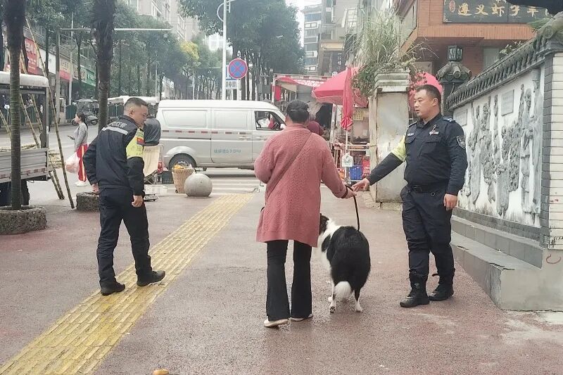图为:规范养犬行为