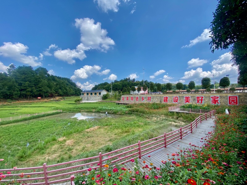 鄉村建設描繪“新圖景”。