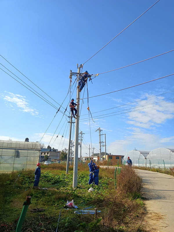 电网改造助力乡村振兴。.jpg