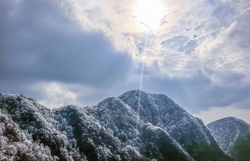 貴州省銅仁市石阡縣佛頂山國家級自然保護區1869.3米的山巔之上迎來了冬日限定的冰雪奇觀，寒霧凝霜綴滿枝頭。孫偉攝