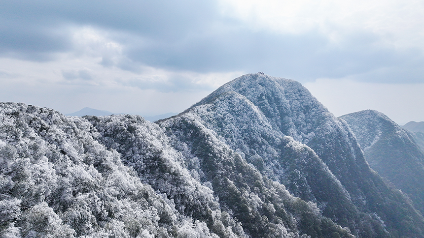 貴州省銅仁市石阡縣佛頂山國家級自然保護區1869.3米的山巔之上迎來了冬日限定的冰雪奇觀，寒霧凝霜綴滿枝頭。夏磊攝