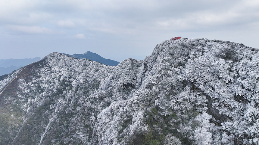 贵州省铜仁市石阡县佛顶山国家级自然保护区1869.3米的山巅之上迎来了冬日限定的冰雪奇观,寒雾凝霜缀满枝头。夏磊摄