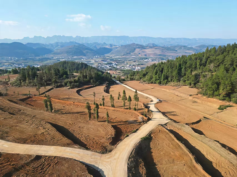 鬆桃迓駕鎮：高標准農田激活鄉村振興新動能。