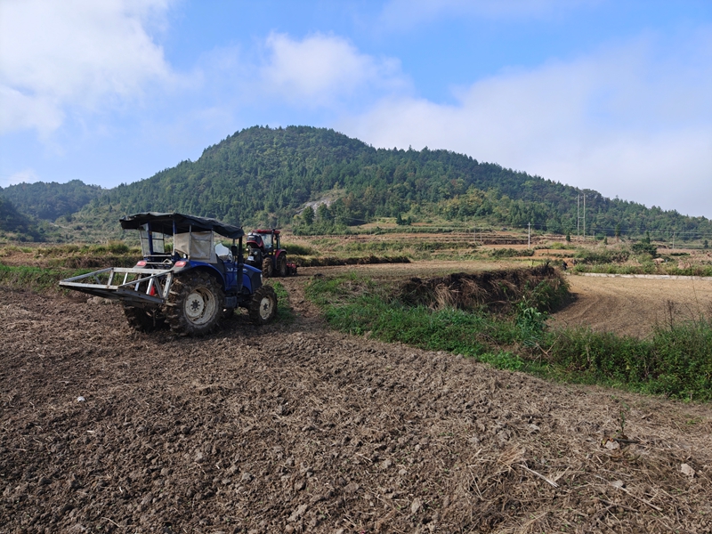 鬆桃迓駕鎮：高標准農田激活鄉村振興新動能。