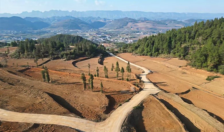 鬆桃迓駕鎮：高標准農田激活鄉村振興新動能