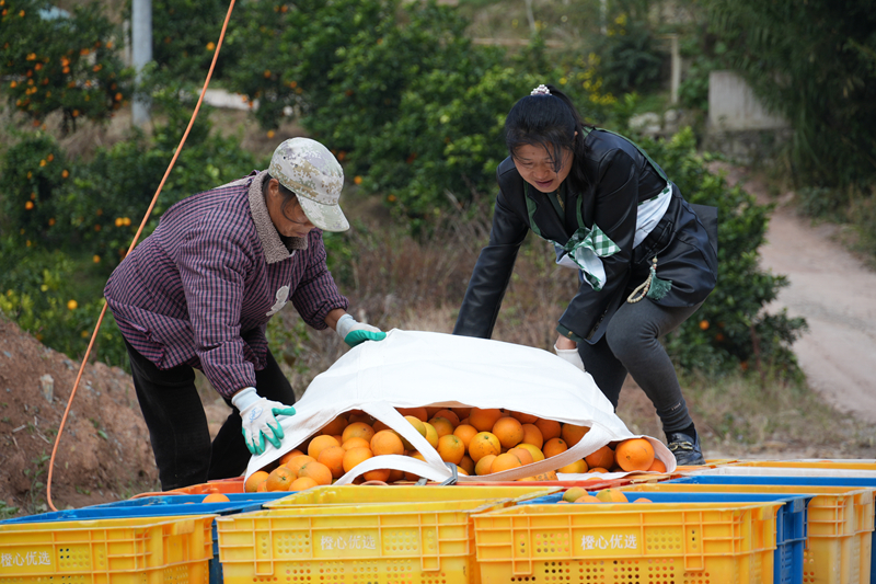 守護綠水青山 換得金山銀山。