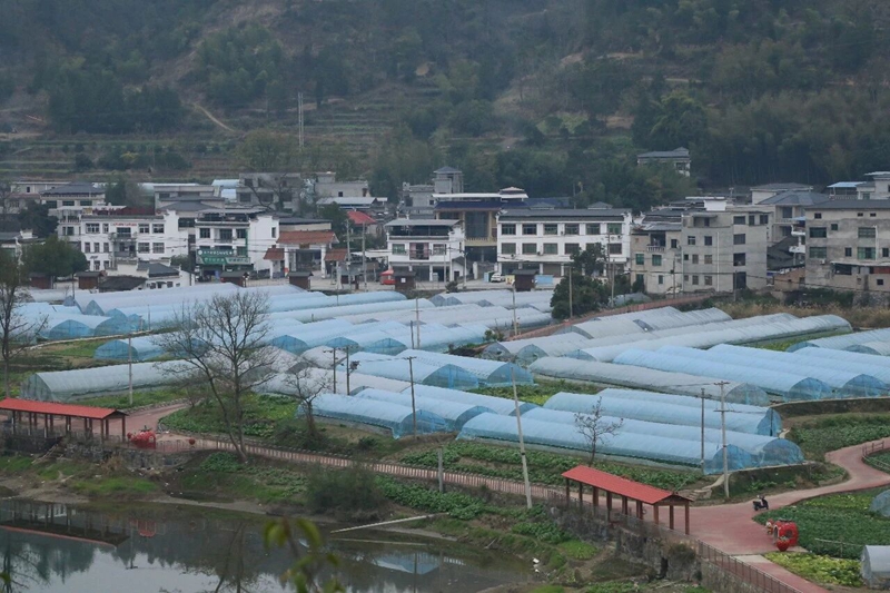 1 图为木弄草莓园 &nbsp; 聂 静 摄.jpg