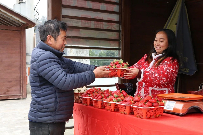 2 图为国道354沿线草莓直售点 &nbsp;聂 静 摄.jpg