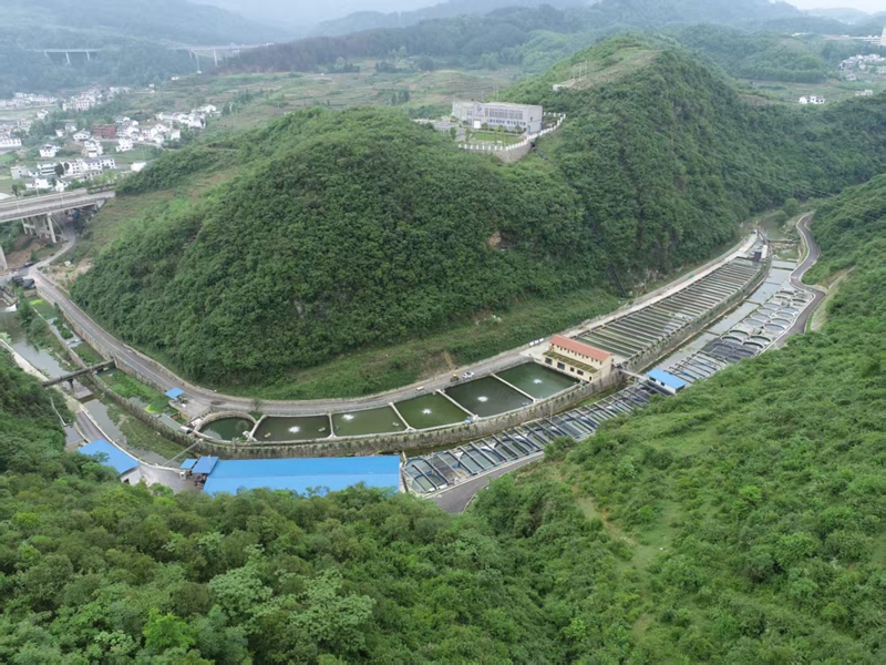 贵州水之源新农业科技发展有限公司养殖基地鸟瞰.jpg