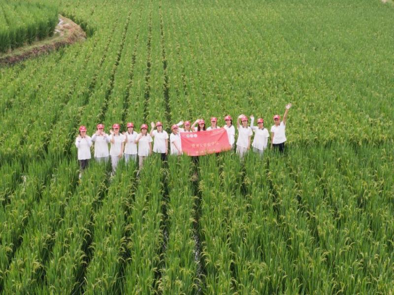 贵州大学农学院“黔农遗韵”实践队走进黔东南。