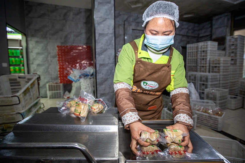 2026年1月11日，在貴州省黔西市錦繡街道金鳳社區一家食品企業，工人真空包裝黃粑成品。_T9A3290