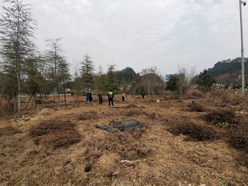 3 图为执法人员向村民解释在高速公路公路用地开垦种植作物的危害及普法宣传3