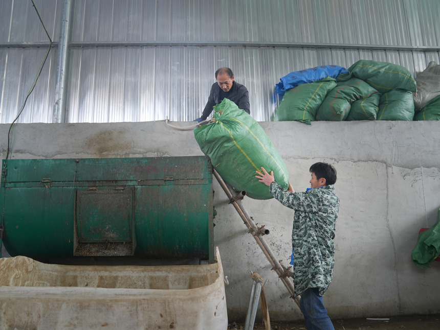 平壩最大熟食生豬養殖場投用。