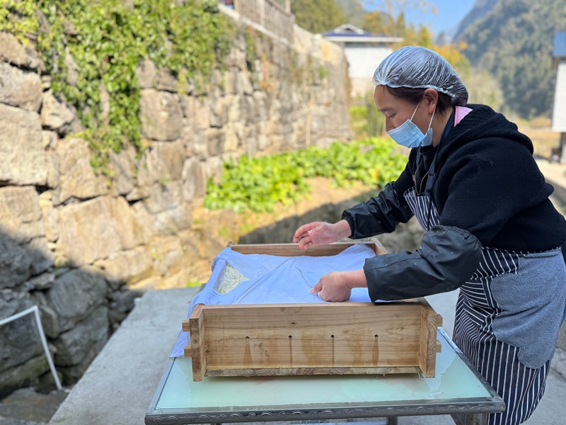 松桃瓦溪村：酸汤豆腐成乡村振兴大产业。